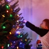 Hanging lights