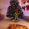 Autumn hangs her first ornament.