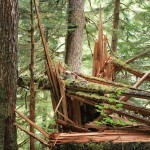 Barclay Lake Hike on the Mt. Baker Snoqualmie National Forest