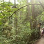 “That banana slug has antlers!”: A walk through St. Edward State Park