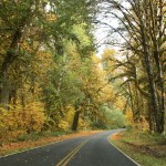 Trip along the Olympic Coast
