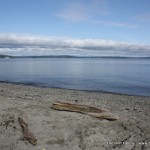Saturday Morning at Alki Beach with Don