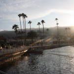 Day 8: Disneyland to Catalina Island (Part IV of IV) [Video]
