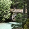 Trail of the Cedars