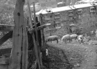 Alaverdi 025