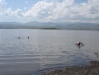 Arpi Lake 02