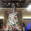 Drake Hotel in Chicago at Christmas