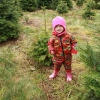 Autumn looking cute.