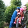 Found the tree.