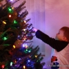 Hanging lights