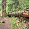 Deception Pass State Park