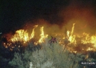 2001-night-burning-in-lakeview