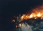 62
