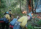 Fire 10