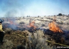 Fire 16