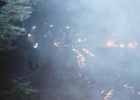 Fire 17