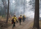 Fire 20