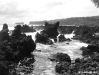 DSC06591