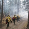 Hole Prescribed Burn at Lassen Volcanic National Park (Nov. 2002)
