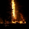 Hole Prescribed Burn at Lassen Volcanic National Park (Nov. 2002)