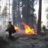 Hole Prescribed Burn at Lassen Volcanic National Park (Nov. 2002)