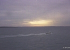 scan0008
