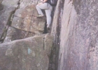 scan0010