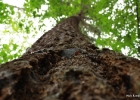20100906_0035