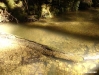 Big Basin 04