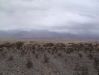 Utah Trip 03