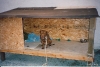 The Dog House