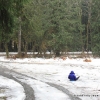 Sledding at Deer Creek