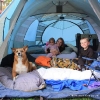 Backyard Camping.